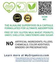 Load image into Gallery viewer, Alkaline Greens: The Superfood for Fiber &amp; Digestion!
